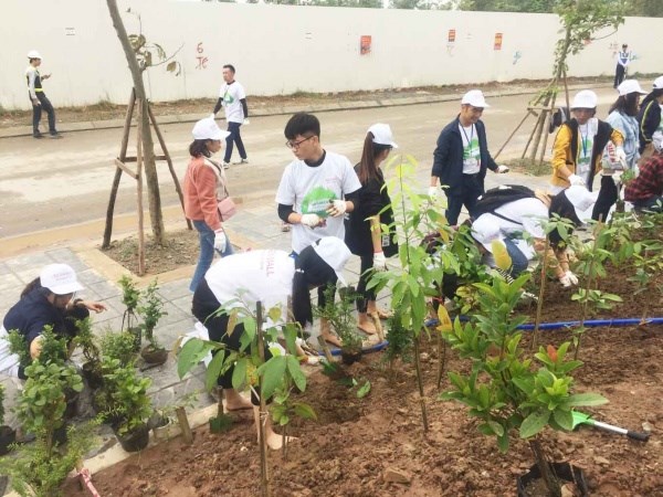 Đoàn sinh viên Học viện Nông nghiệp Việt Nam trồng hơn 200 cây xanh