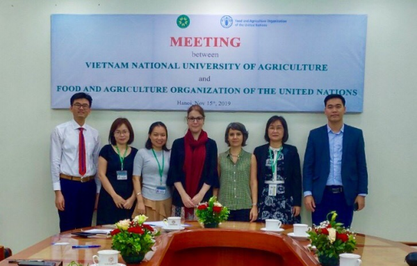 Hội đàm giữa tổ chức FAO và đại diện Học viện Nông nghiệp Việt Nam