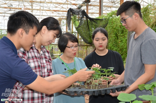 Cô và trò trao đổi trong giờ thực hành nông học.