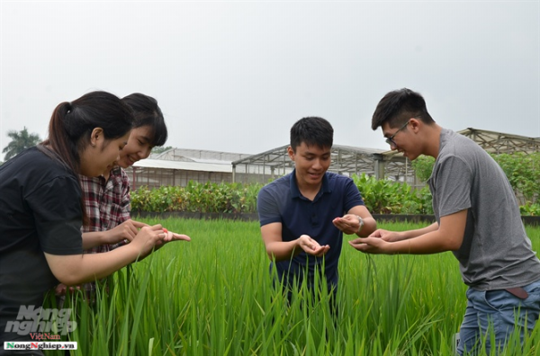 Sinh viên Học viện Nông nghiệp Việt Nam được trải nghiệm thực tế.