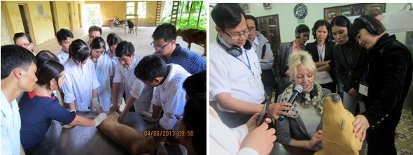 Training at Veterinary Teaching Hospital