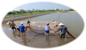 Thành công của đề tài “Phân công lao động và quan hệ giới trong nuôi trồng thủy sản ở huyện Hải Hậu, tỉnh Nam Định”