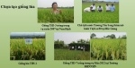 Học viện Nông nghiệp Việt Nam với công tác chuyển giao khoa học công nghệ
