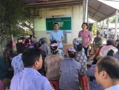 Tập huấn kỹ thuật trồng măng tây xanh, măng tây trắng tại xã Hồng Thái, Phú Xuyên, Hà Nội