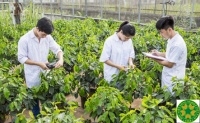 Khối ngành Nông nghiệp – Nghịch lý về nguồn nhân lực và cơ hội việc làm