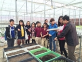 Trải nghiệm thực tế nông nghiệp cho học sinh tiểu học Trường BVIS ROYAL