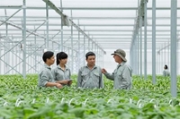 Học viện Nông nghiệp Việt nam Hơn 6 thập kỉ ‘trồng người’ cho Nông nghiệp Việt