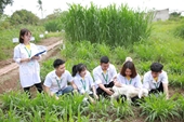 Chăn nuôi ngành tạo ra của cải và vật chất quan trọng cho đất nước
