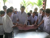 Ngành Thú y – Nhiều cơ hội việc làm và thành đạt tại Học viện Nông nghiệp Việt Nam