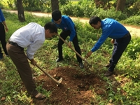 Tuổi trẻ Khoa Chăn nuôi chung tay xây dựng nông thôn mới tại huyện Lạng Giang