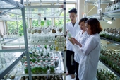 Lý do chọn Học viện Nông nghiệp Việt Nam