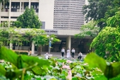 Thông báo kết quả xét tuyển và kế hoạch xác nhận nhập học, nhập học đại học hệ chính quy theo phương thức xét tuyển dựa vào kết quả thi THPTQG 2019