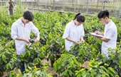 Học viện Nông nghiệp Việt Nam rộng cửa chào đón 6 000 tân sinh viên