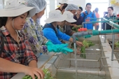 Nông nghiệp POHE – cơ hội và phát triển