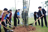 Thầy cô giáo và sinh viên Học viện Nông nghiệp góp sức trồng cây