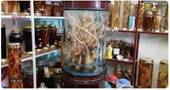 Sống an toàn Nên hay không sử dụng rượu ngâm
