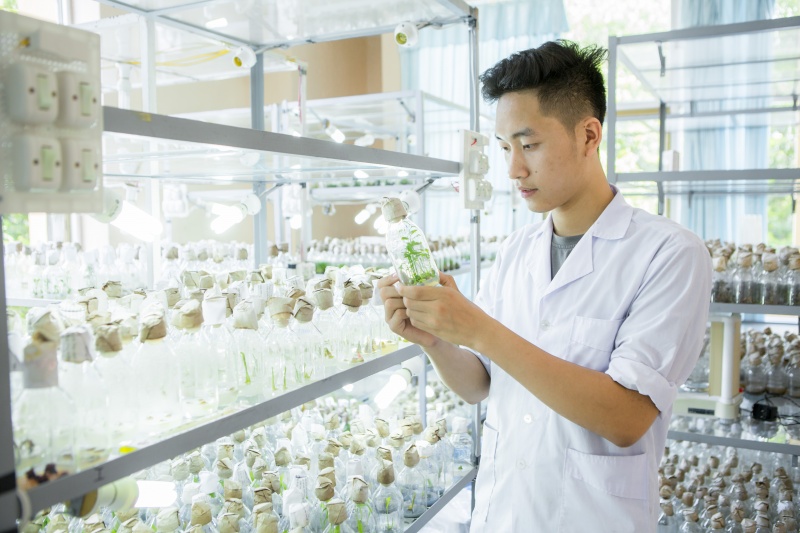 Sinh viên học tập và nghiên cứu