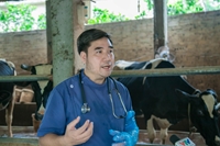 Học viện Nông nghiệp Việt Nam đã cho ra đời những con bò lai Wagyu bò Đen đầu tiên bằng công nghệ thụ tinh trong ống nghiệm