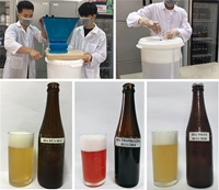 Bước đầu sản xuất bia quả tại Học viện Nông nghiệp Việt Nam