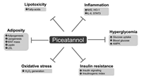 Khả năng trị liệu của piceatannol, một polyphenol tự nhiên, trong các bệnh liên quan đến Hội chứng chuyển hóa