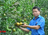 Chuyên gia Học viện Nông nghiệp Việt Nam giúp đoàn viên thanh niên Hà Tĩnh khởi nghiệp