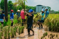 Students of the Japanese School of Hanoi had a study visit to Vietnam National University of Agriculture