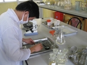 Hoạt động sinh viên NCKH của Khoa Thú y