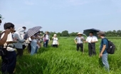 Khóa học quốc tế về nông nghiệp giữa Đại học nông nghiệp Hà Nội và Đại học Kyushu