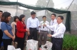 Thứ trưởng Bộ NN PTNT Trần Thanh Nam và đoàn công tác thăm mô hình nghiên cứu của Học viện