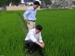 Ứng dụng công nghệ tiên tiến trong xử lý chất thải chăn nuôi