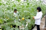 Nhà nước hỗ trợ đào tạo đạt chuẩn cho sinh viên ngành nông lâm ngư nghiệp tại Học viện Nông nghiệp Việt Nam