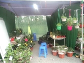 Thành công của hội chợ sản phẩm đồ án sinh viên lần thứ 5 năm 2013 – Ngành công nghệ rau hoa quả và cảnh quan