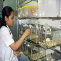 Xét chọn tổ chức cá nhân chủ trì đề tài dự án thuộc Chương trình công nghệ sinh học nông nghiệp thực hiện từ năm 2012 của Bộ NN PTNT