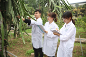 Ngành khoa học cây trồng