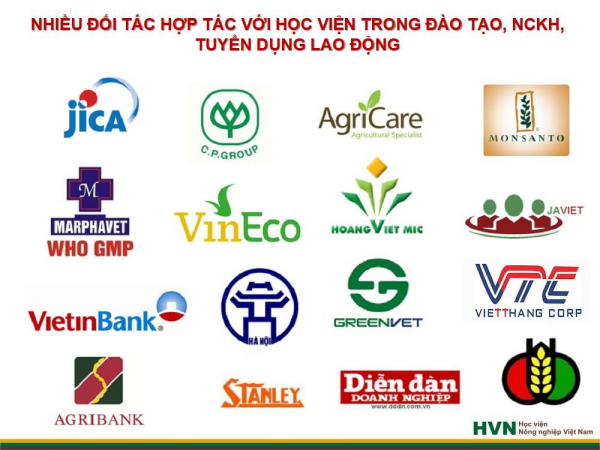 Hàng năm, Học viện trao 30 tỷ đồng học bổng cho sinh viên