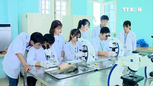 Một tiết thực hành của sinh viên ngành Bệnh học thủy sản