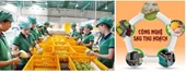 Bạn trẻ có nên chọn ngành công nghệ sau thu hoạch