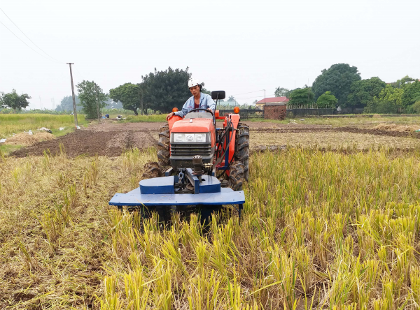 Máy cắt băm gốc rạ trên cánh đồng ở Sơn Đông, Sơn Tây.