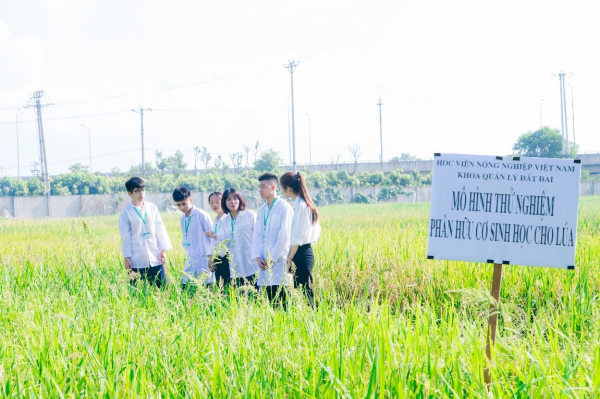 Sinh viên tham quan mô hình thử nghiệm phân hữu cơ vi sinh cho lúa