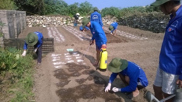 Sinh viên tình nguyện Học viện Nông nghiệp VN trồng cỏ thực hiện đề tài Xây dựng mô hình trồng cỏ ruzi và cây keo dậu phục vụ phát triển đàn dê tại huyện đảo Bạch Long Vĩ, Hải Phòng