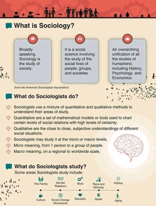 Xã hội học nghiên cứu về đời sống xã hội của các cá nhân, nhóm và xã hội (Ảnh: Internet)