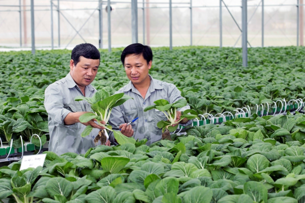 Cử nhân nông nghiệp - Đầu ra “cháy hàng”