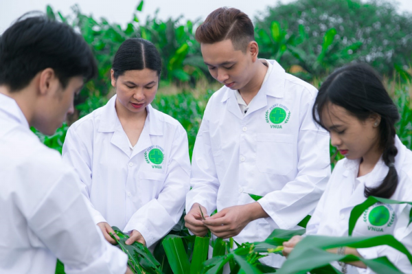 Sinh viên thực hành về phát hiện các loại sâu bệnh trên đồng ruộng