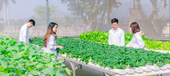Ngành Nông nghiệp Công nghệ cao – Ngành học hot thu hút nhiều vị trí việc làm tại Việt Nam