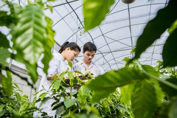 Sinh viên ngành Khoa học cây trồng tiên tiến tham gia nghiên cứu khoa học và đạt giải thưởng khoa học công nghệ