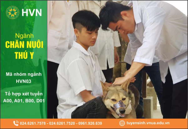 Thông tin tuyển sinh ngành chăn nuôi thú y của Học viện Nông nghiệp Việt Nam.