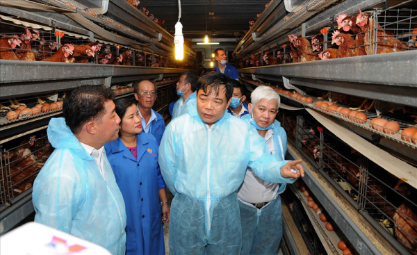 Bộ trưởng Bộ NNPTNT Nguyễn Xuân Cường tham quan trang trại gà hiện đại của Tập đoàn Hùng Nhơn.