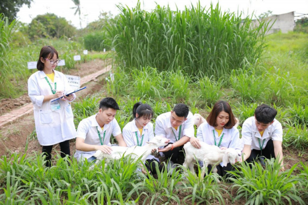Chương trình ngành Chăn nuôi thú y tại Học viện Nông nghiệp Việt Nam được xây dựng dựa trên các chương trình đào tạo từ các trường đại học uy tín trên thế giới. Sau khi hoàn thành khóa học 4 năm, người học được cấp bằng Kỹ sư Chăn nuôi thú y.
