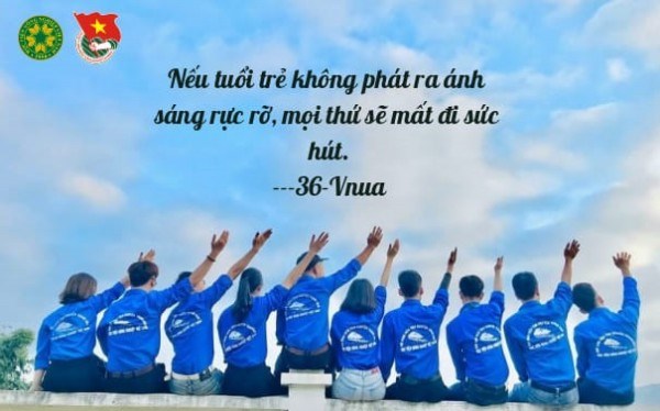 05 giải Ba: Lớp K64QLDLA; Đội SVTN khoa Thú Y; Đội Thanh niên vận động hiến máu; Lớp K62KHCTA; Đội Sinh viên tình nguyện Hội đồng hương Thanh Hóa.