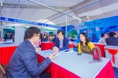 Hoạt động tư vấn công nghệ, cải tiến quy trình kỹ thuật, tư vấn kết nối tài chính - công nghệ, sở hữu trí tuệ